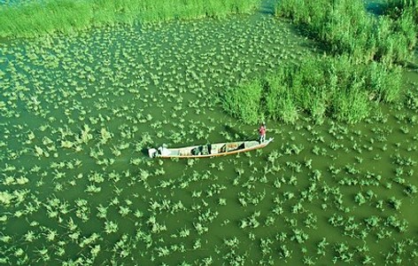 Mesopotamian Marshes