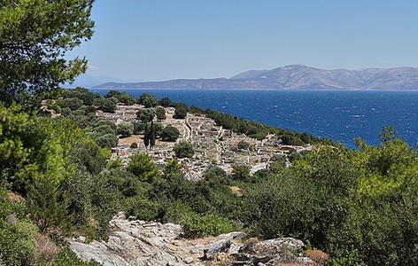 Rhamnous