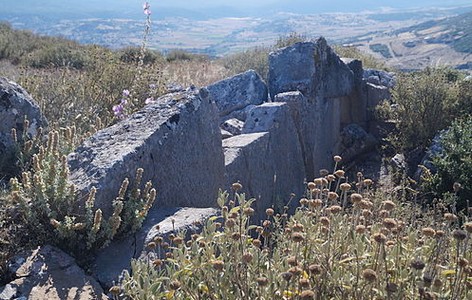 Hyampolis