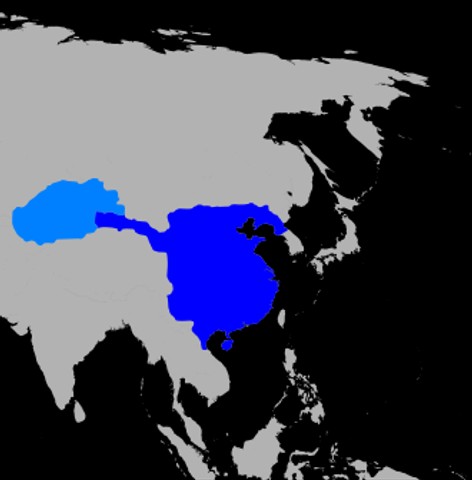 Han dynasty