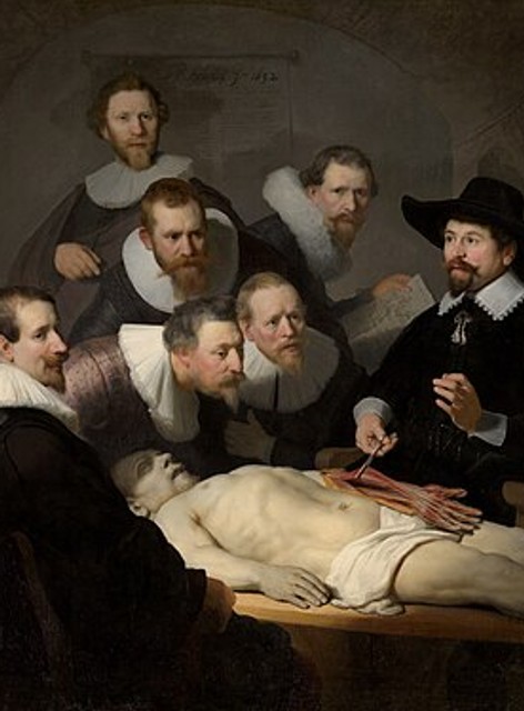 The Anatomy Lesson of Dr. Nicolaes Tulp