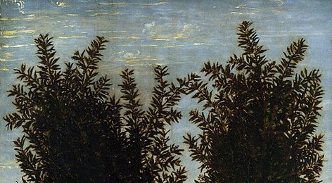 Apollo and Daphne (Pollaiuolo)