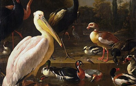 The Floating Feather