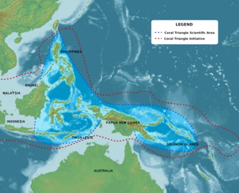 Coral Triangle