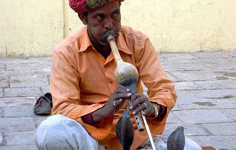 Snake charming