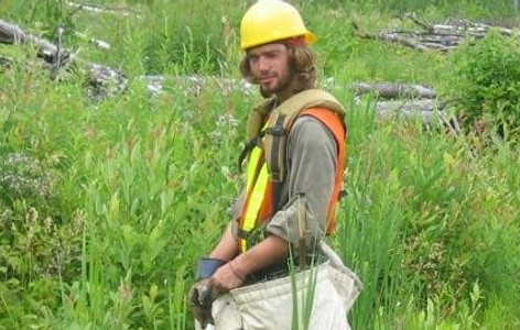 Tree planting