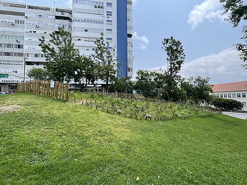 Pocket forest