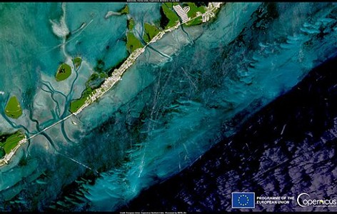 2023–2025 global coral bleaching event