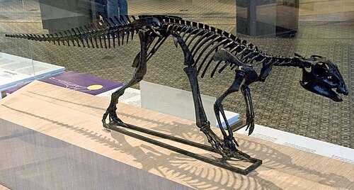 Hypsilophodon