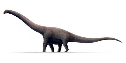 Bruhathkayosaurus