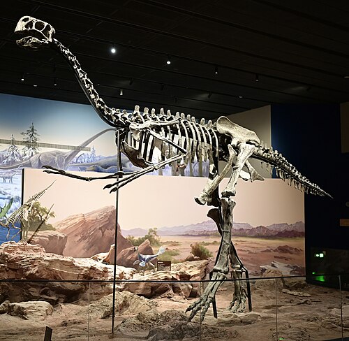 Gigantoraptor
