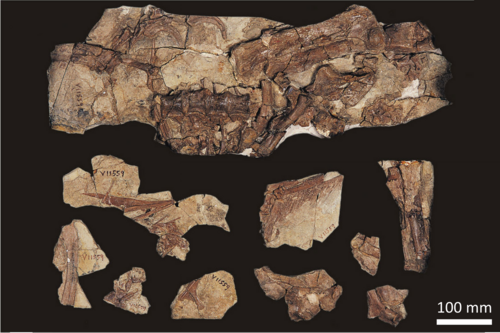 Beipiaosaurus