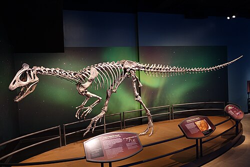 Cryolophosaurus