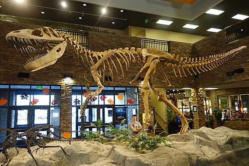 Torvosaurus