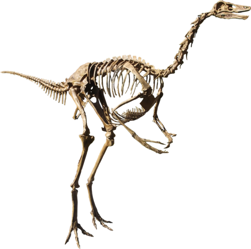 Struthiomimus