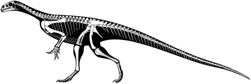 Thecodontosaurus