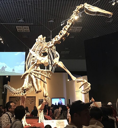 Deinocheirus