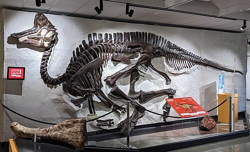 Lambeosaurus