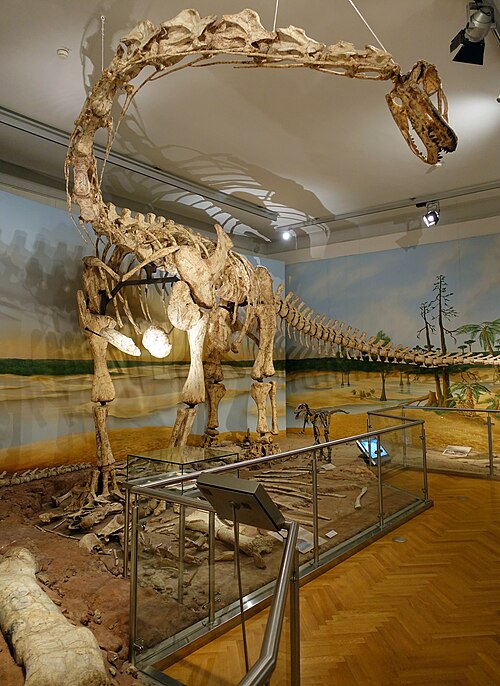 Spinophorosaurus