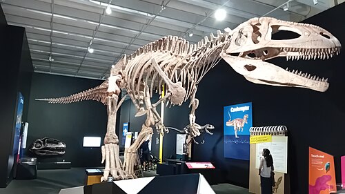 Tyrannotitan