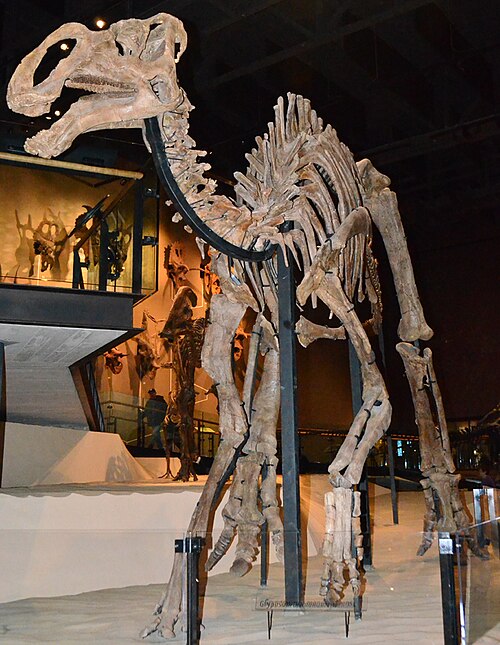 Gryposaurus