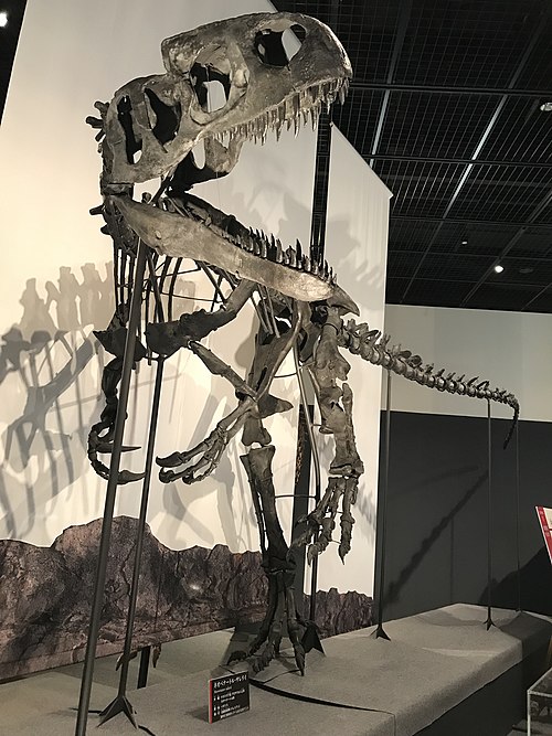 Neovenator