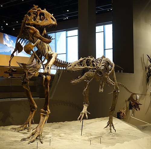 Teratophoneus