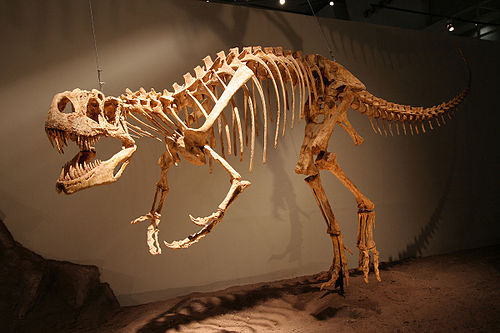 Afrovenator