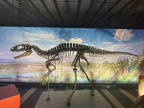Fukuiraptor