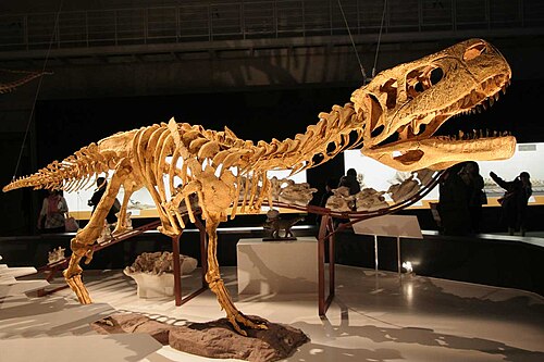 Aucasaurus