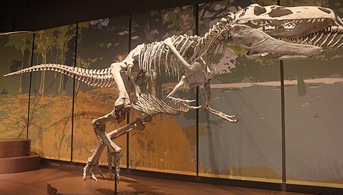 Appalachiosaurus