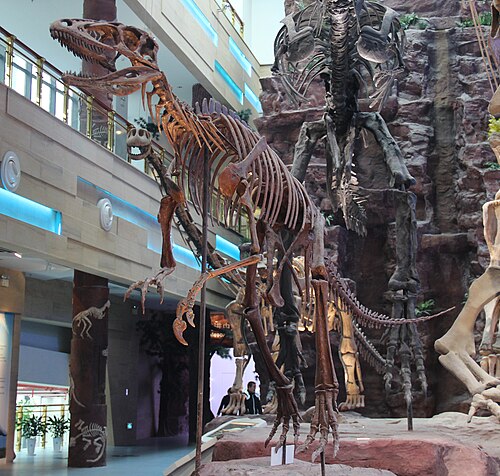Chilantaisaurus