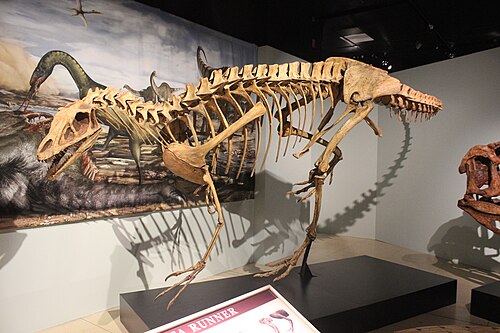 Deltadromeus