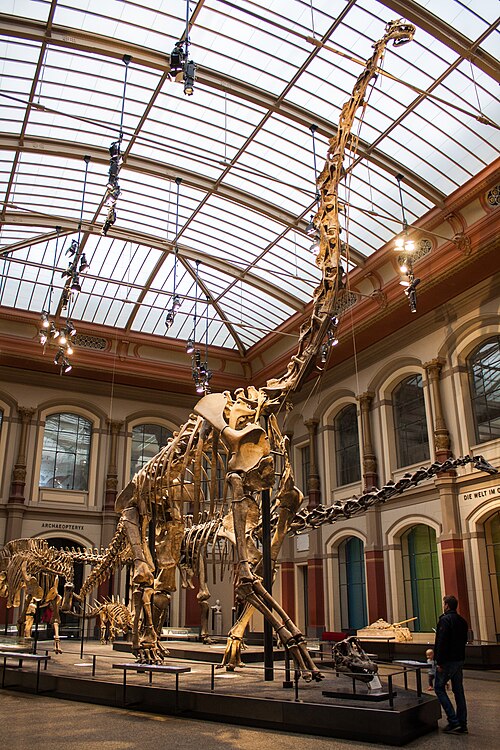 Giraffatitan