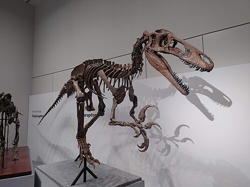 Megaraptor
