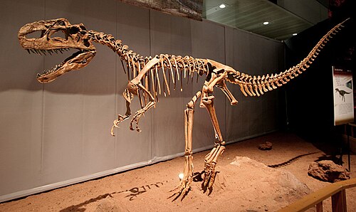 Monolophosaurus