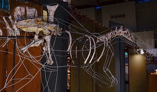 Ichthyovenator