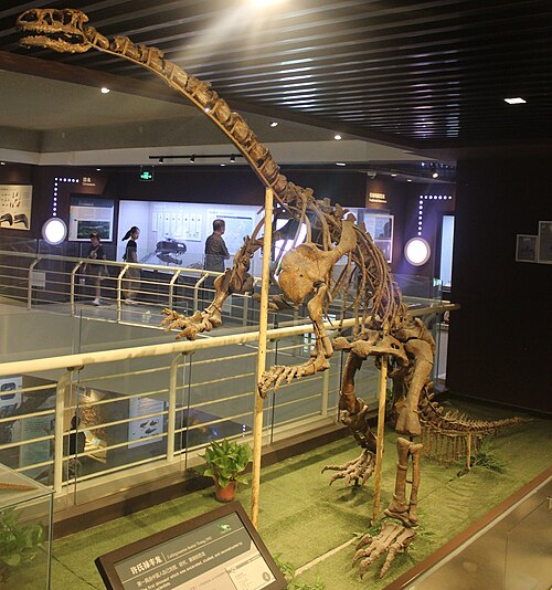 Lufengosaurus
