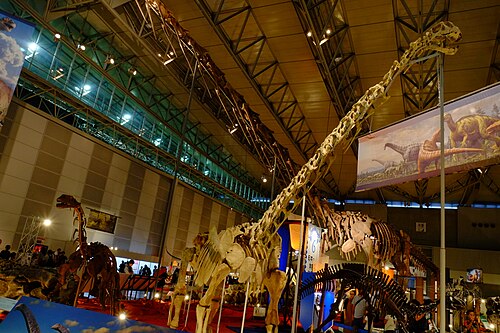 Euhelopus