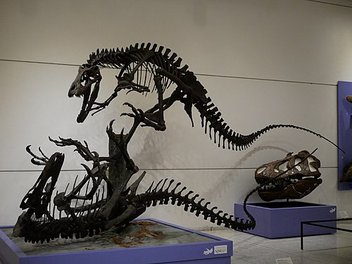 Dryptosaurus