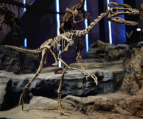 Guanlong