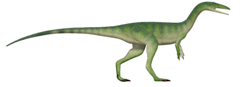 Megapnosaurus