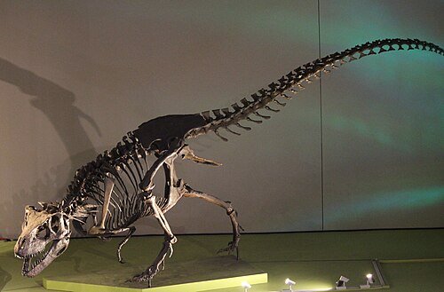 Nanuqsaurus