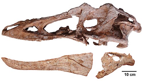 Qianzhousaurus