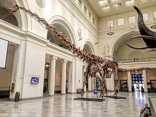 Patagotitan