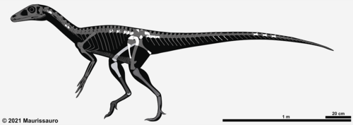 Chindesaurus