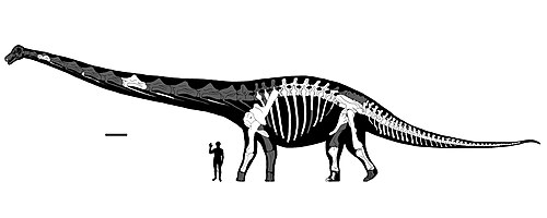 Dreadnoughtus