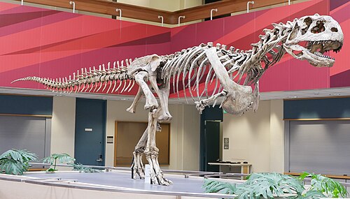 Majungasaurus