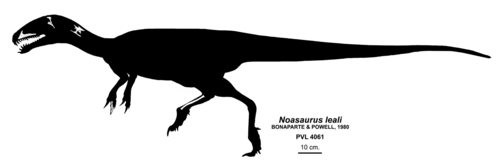 Noasaurus