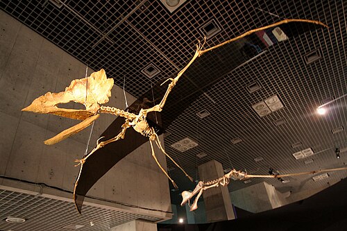 Thalassodromeus